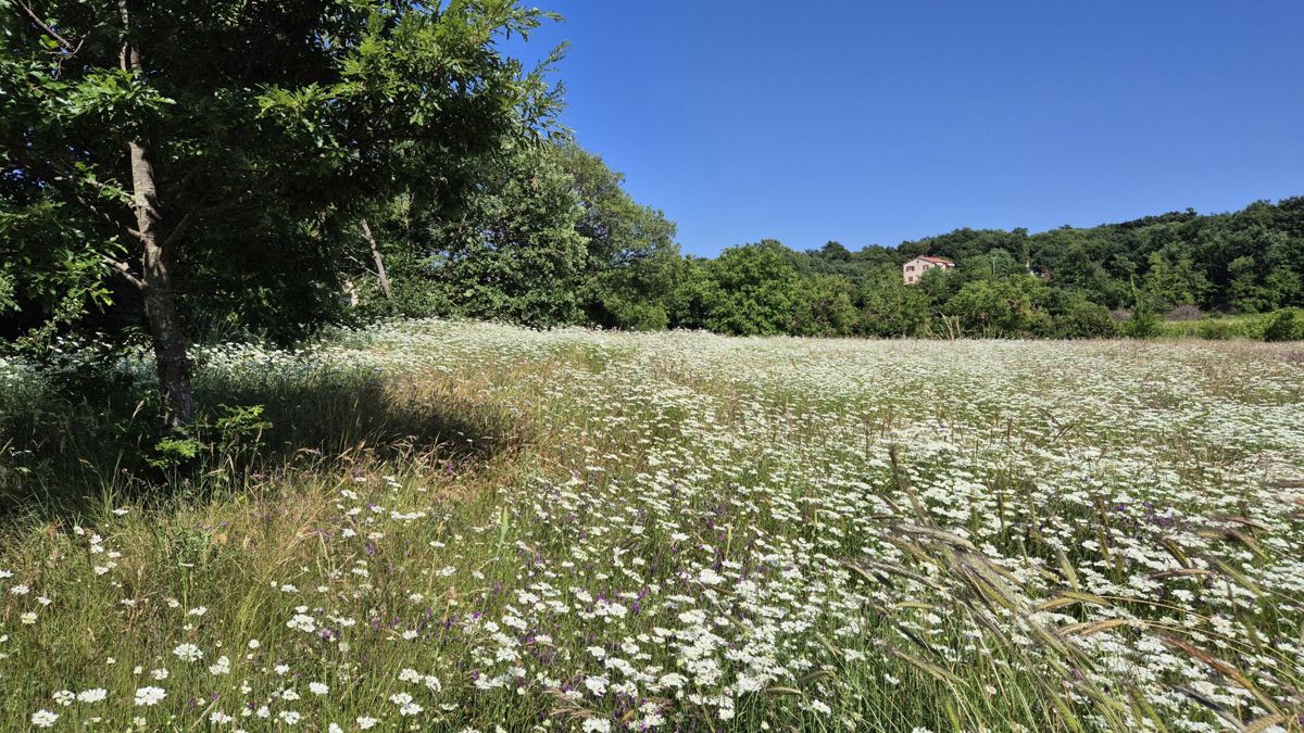 Zemljišče Labin, 1.652m2