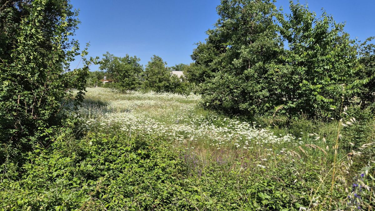 Zemljišče Labin, 1.652m2