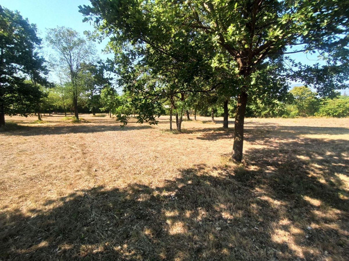 Kršan, zazidljivo zemljišče 1500 m²