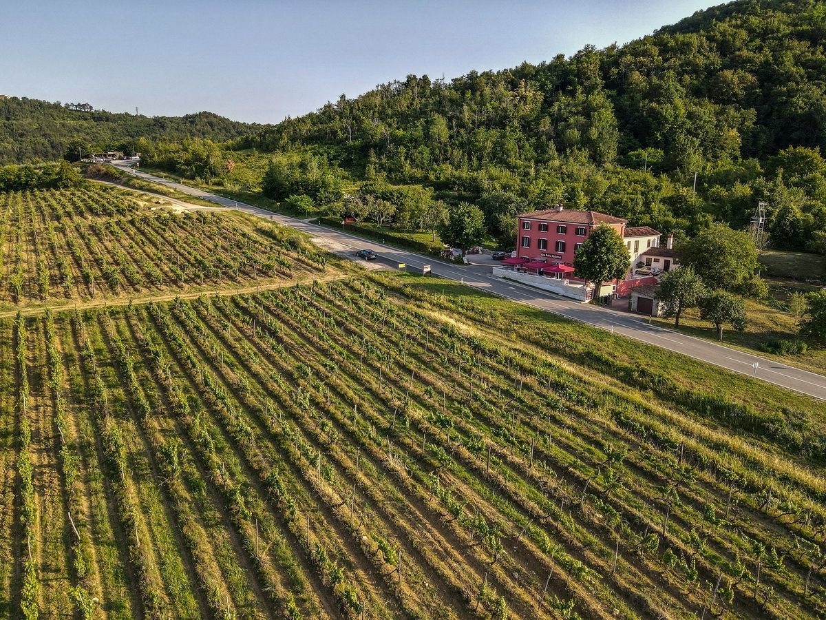 Hotel Motovun, 389m2