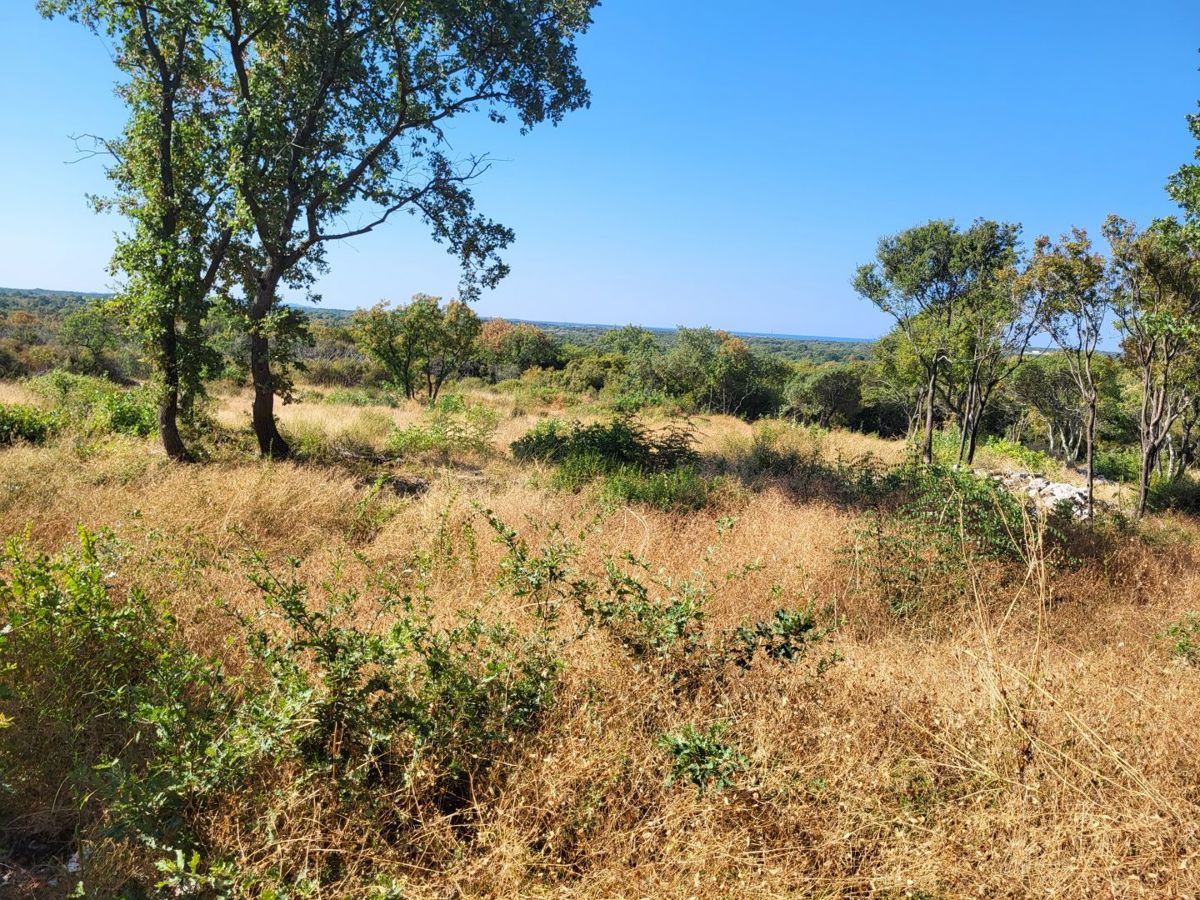 Zemljišče Bale, 6.654m2