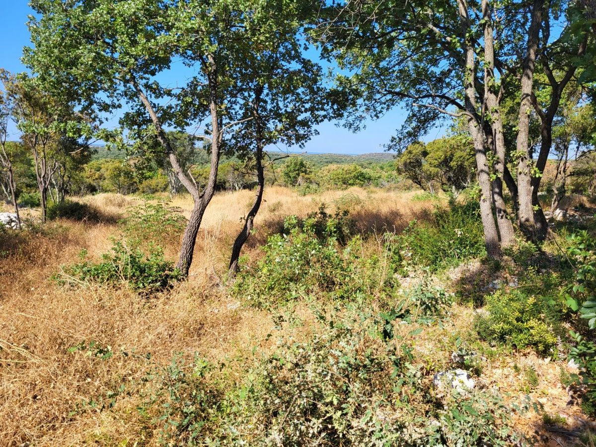 Zemljišče Bale, 6.654m2