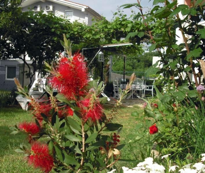 Apartmajska hiša s štirimi enotami, širše območje Fažane