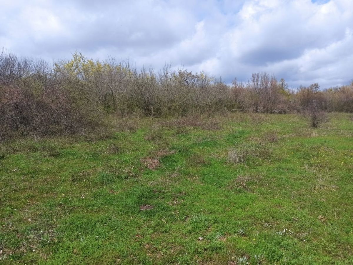 Zemljišče s projektom in gradbenim dovoljenjem, v bližini Marčane