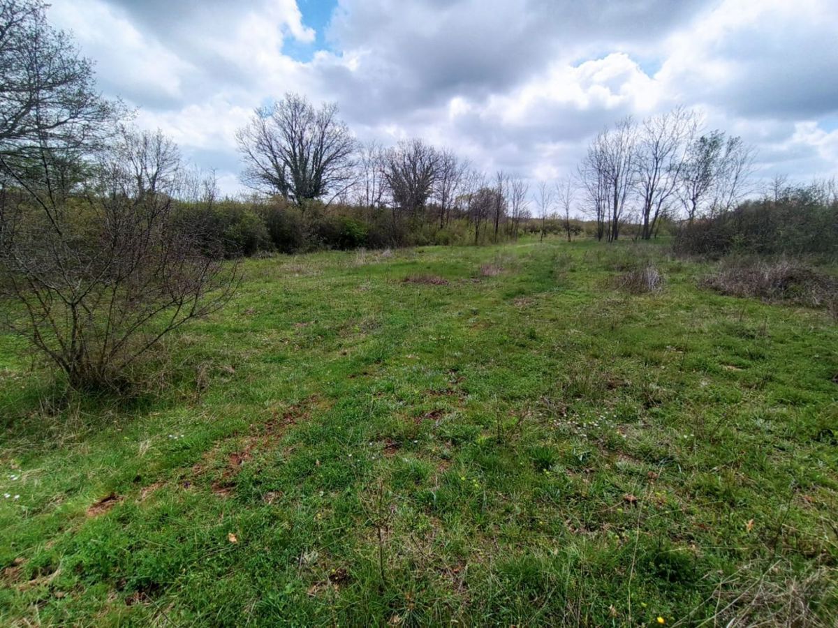 Zemljišče s projektom in gradbenim dovoljenjem, v bližini Marčane
