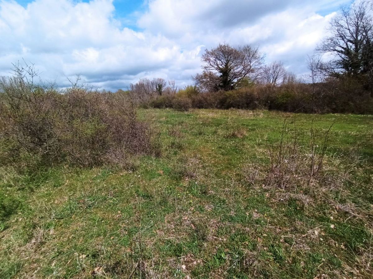Zemljišče s projektom in gradbenim dovoljenjem, v bližini Marčane