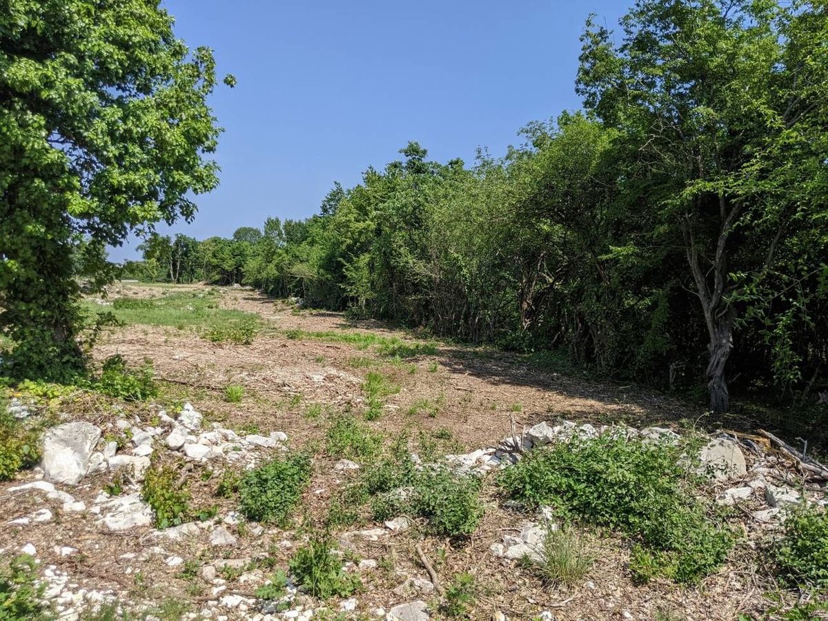 Zemljišče Barban, 5.427m2