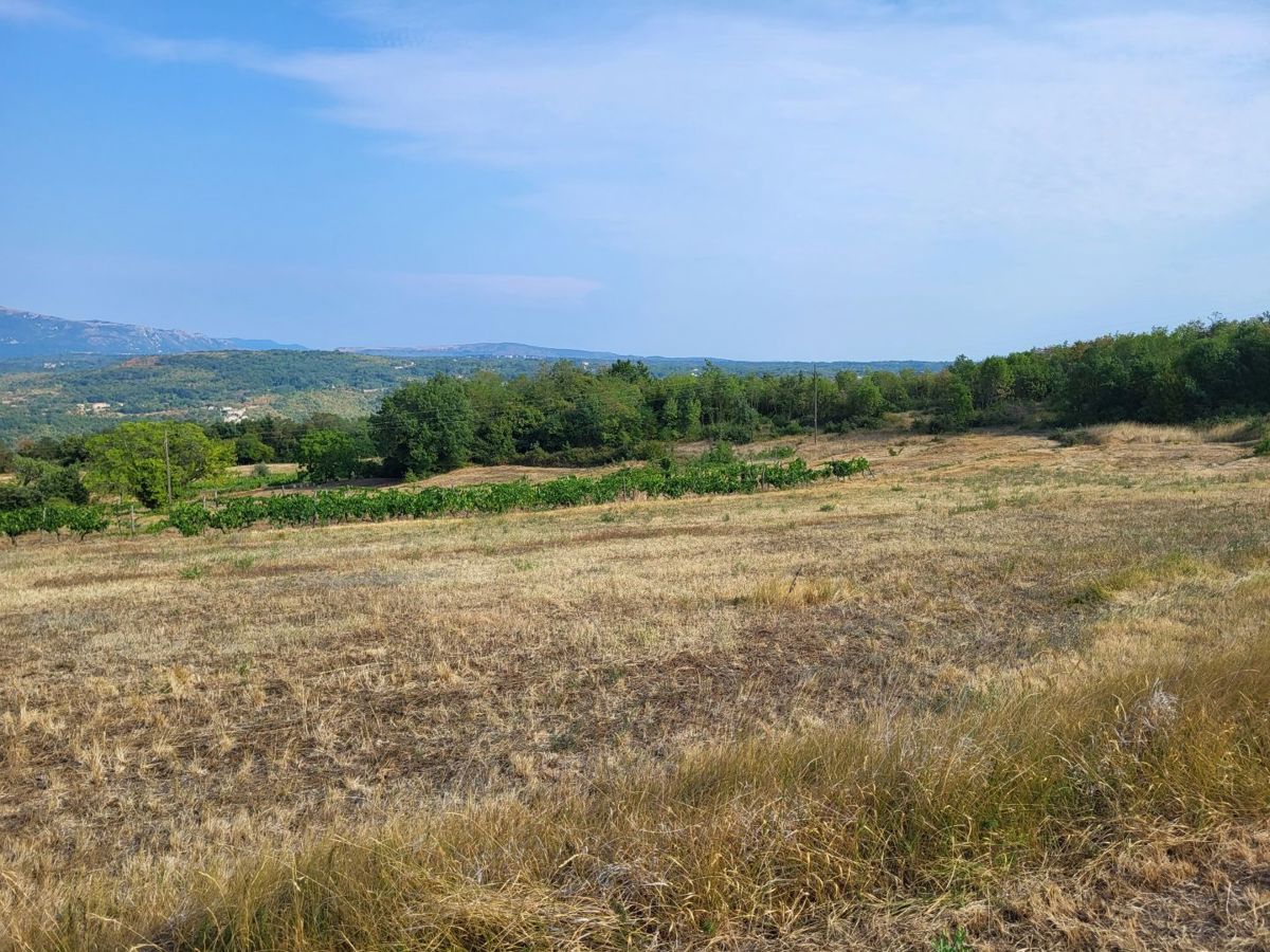 Zemljišče Pićan, 28.958m2