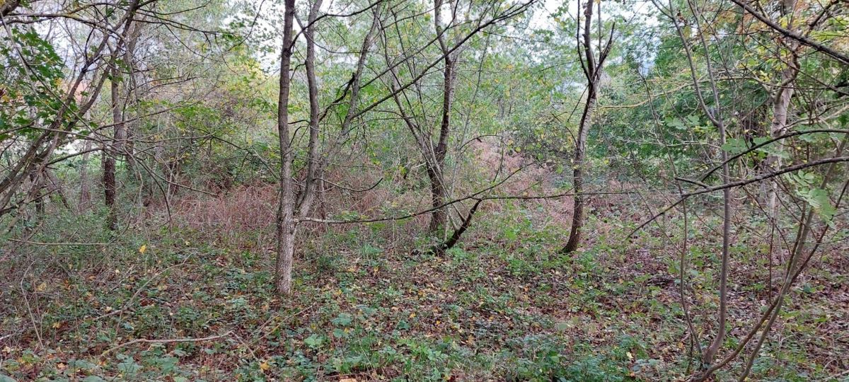 Zemljišče Kršan, 3.947m2