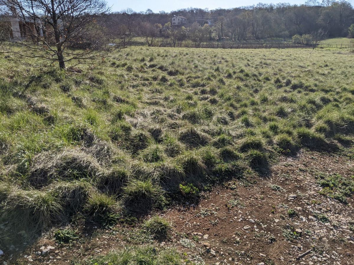 Istra, Labin, lepo zazidljivo zemljišče.