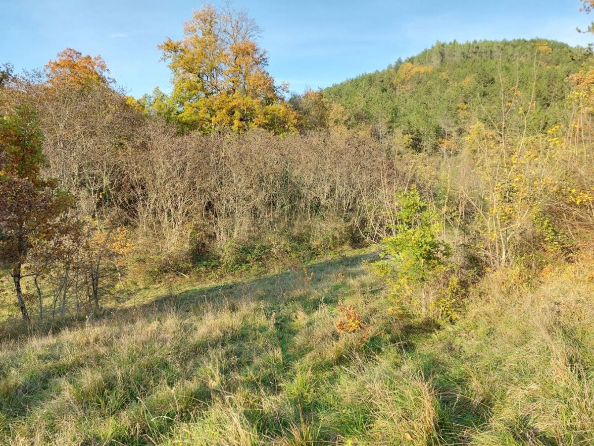 Cerovlje, kamnita hiša za obnovo