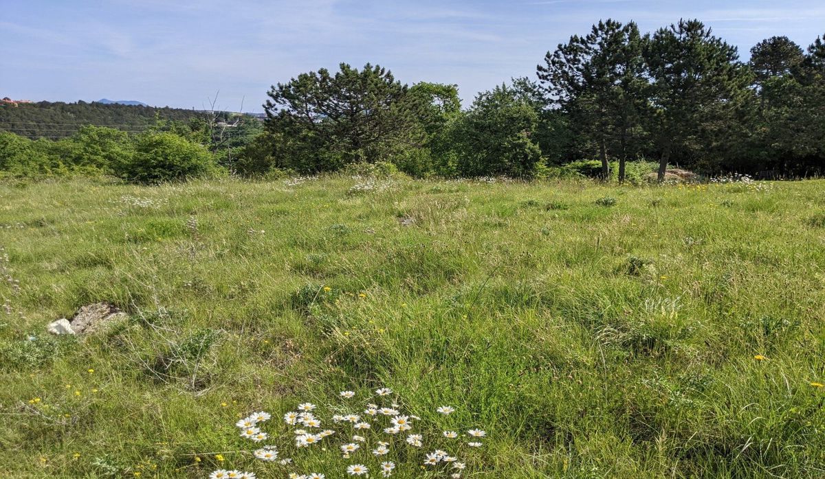 Zemljišče Labin, 5.020m2