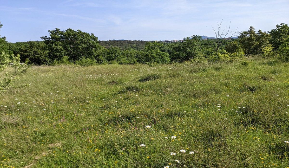 Zemljišče Labin, 5.020m2