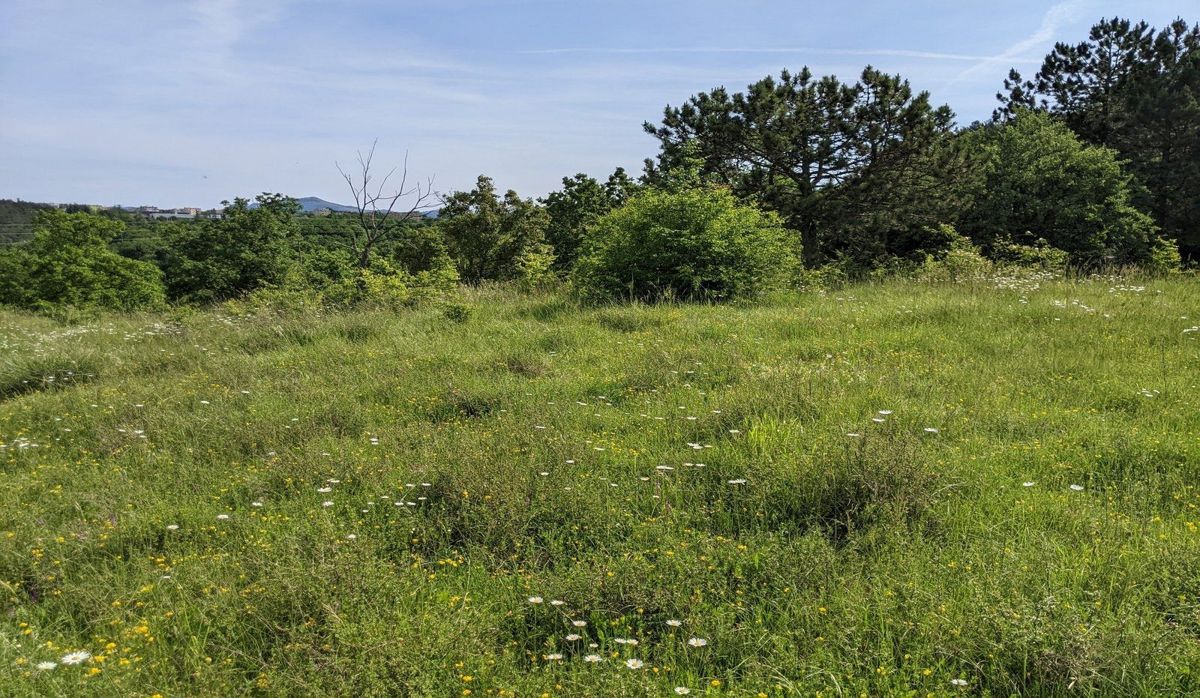 Zemljišče Labin, 5.020m2