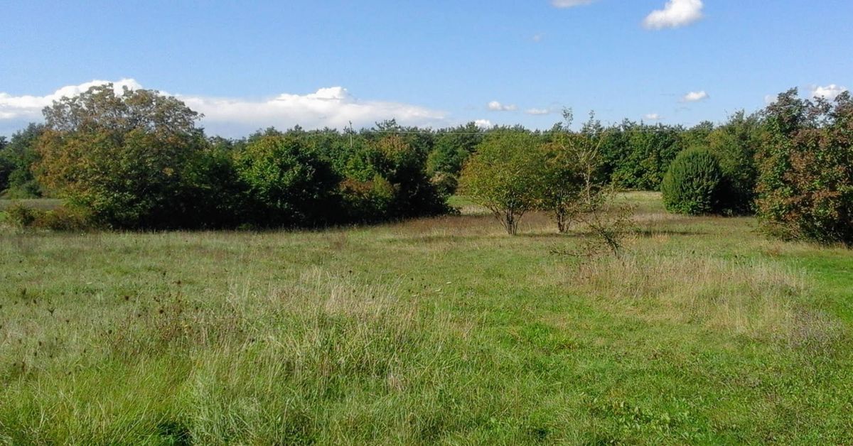 Zemljišče Labin, 4.860m2