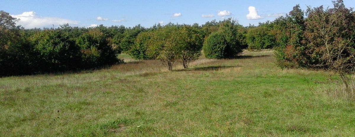 Zemljišče Labin, 4.860m2
