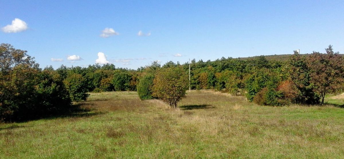 Zemljišče Labin, 4.860m2