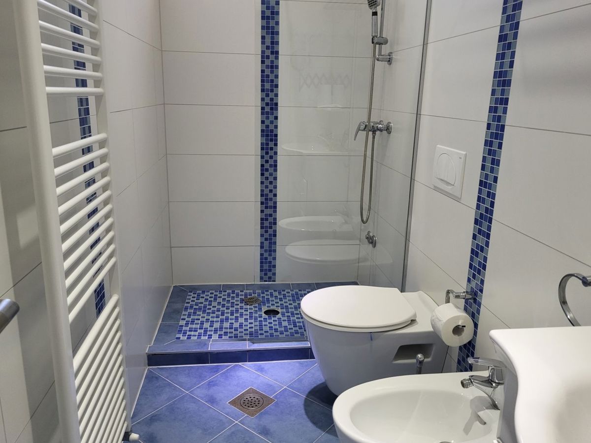 Hiša Višnjan, 500m2