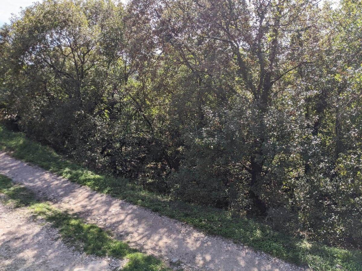 Zemljišče Labin, 2.046m2