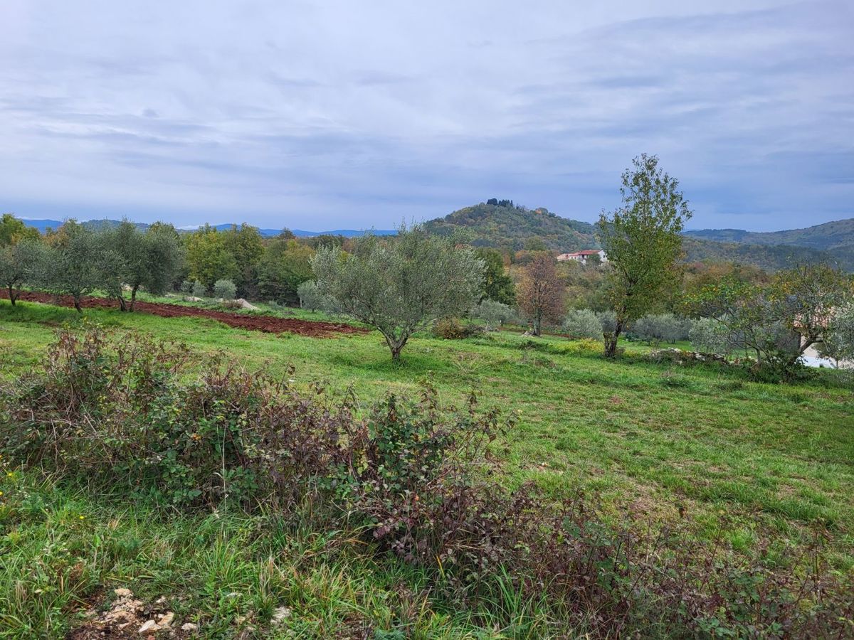 Zemljišče Buzet, 3.109m2