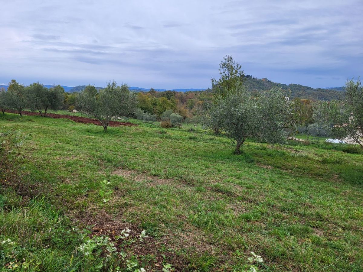 Zemljišče Buzet, 3.109m2