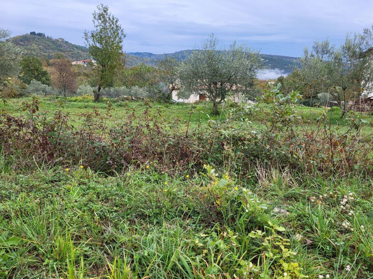 Zemljišče Buzet, 3.109m2