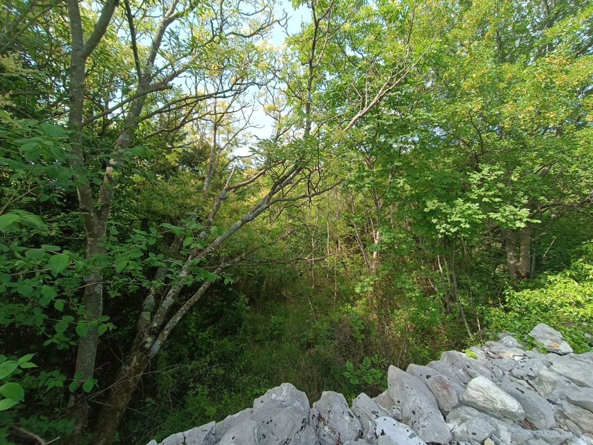 Hiša Labin, 120m2