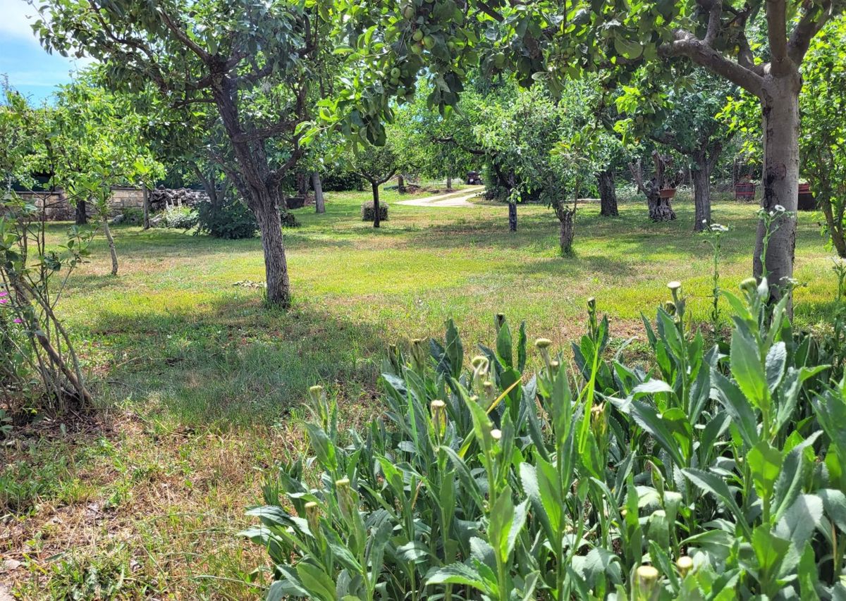 Hiša Karojba, 180m2