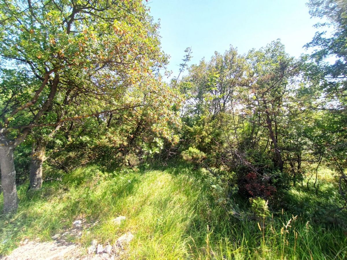 Zemljišče Barban, 1.049m2