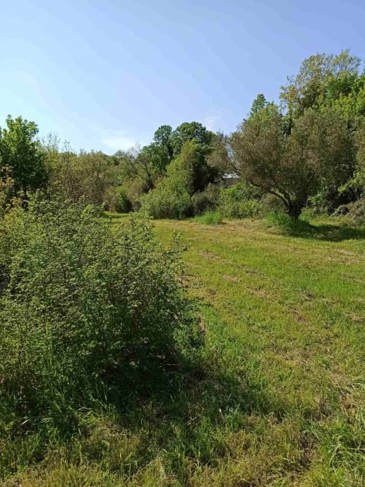 Zazidljivo zemljišče 1212 m2, širše območje Marčane