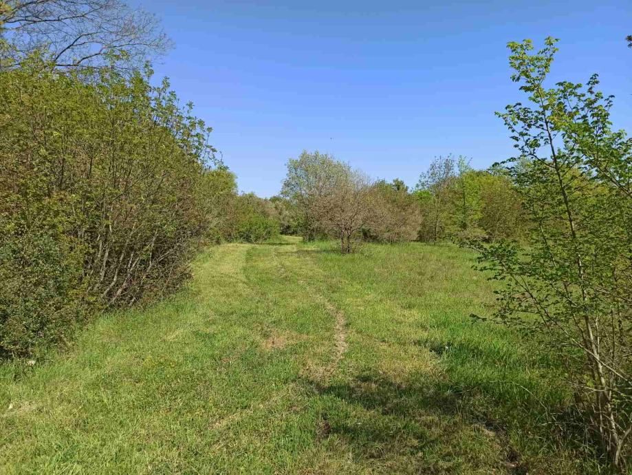 Zazidljivo zemljišče 1212 m2, širše območje Marčane