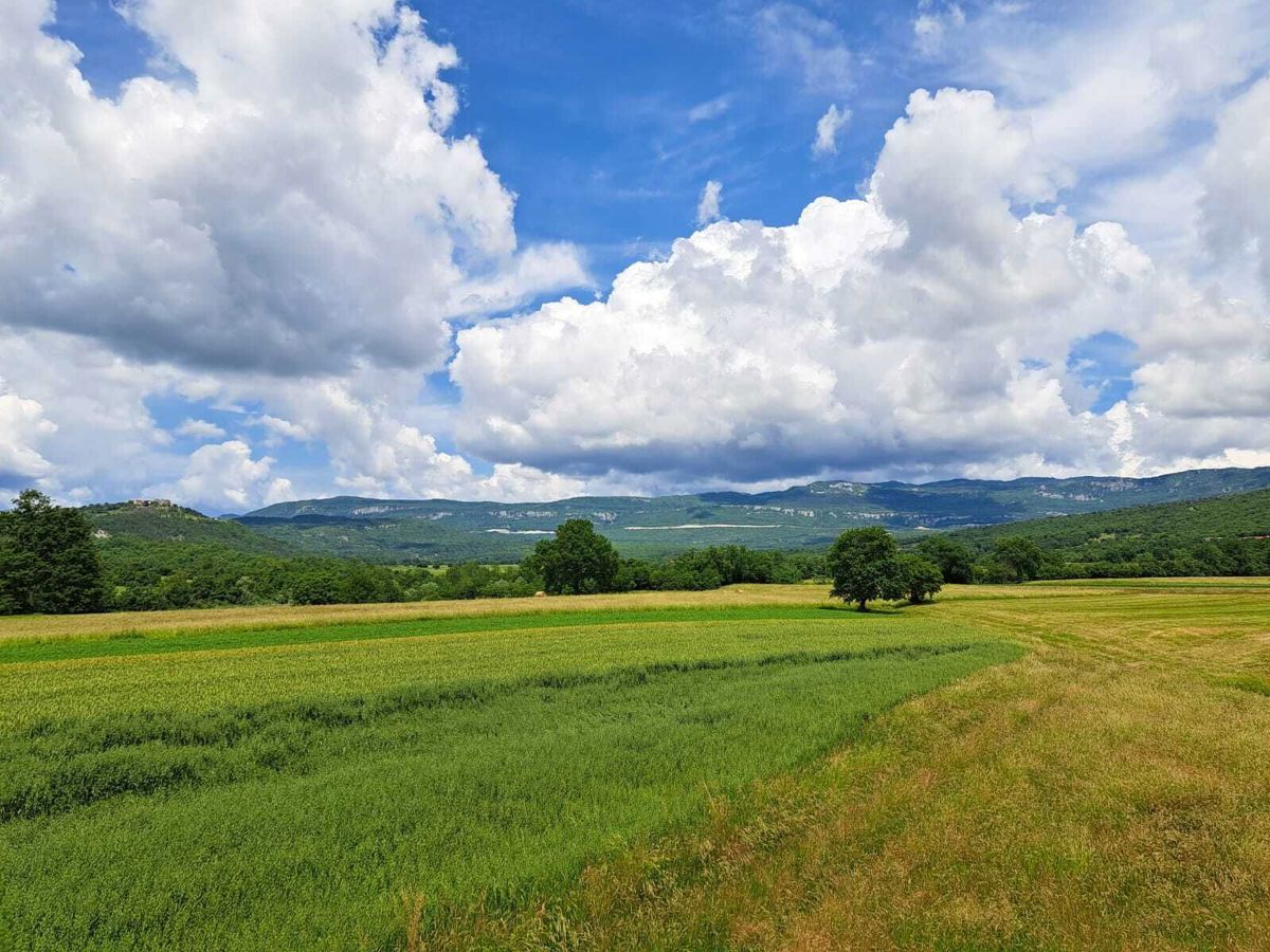 Boljun, hiša z odprtim pogledom na naravo