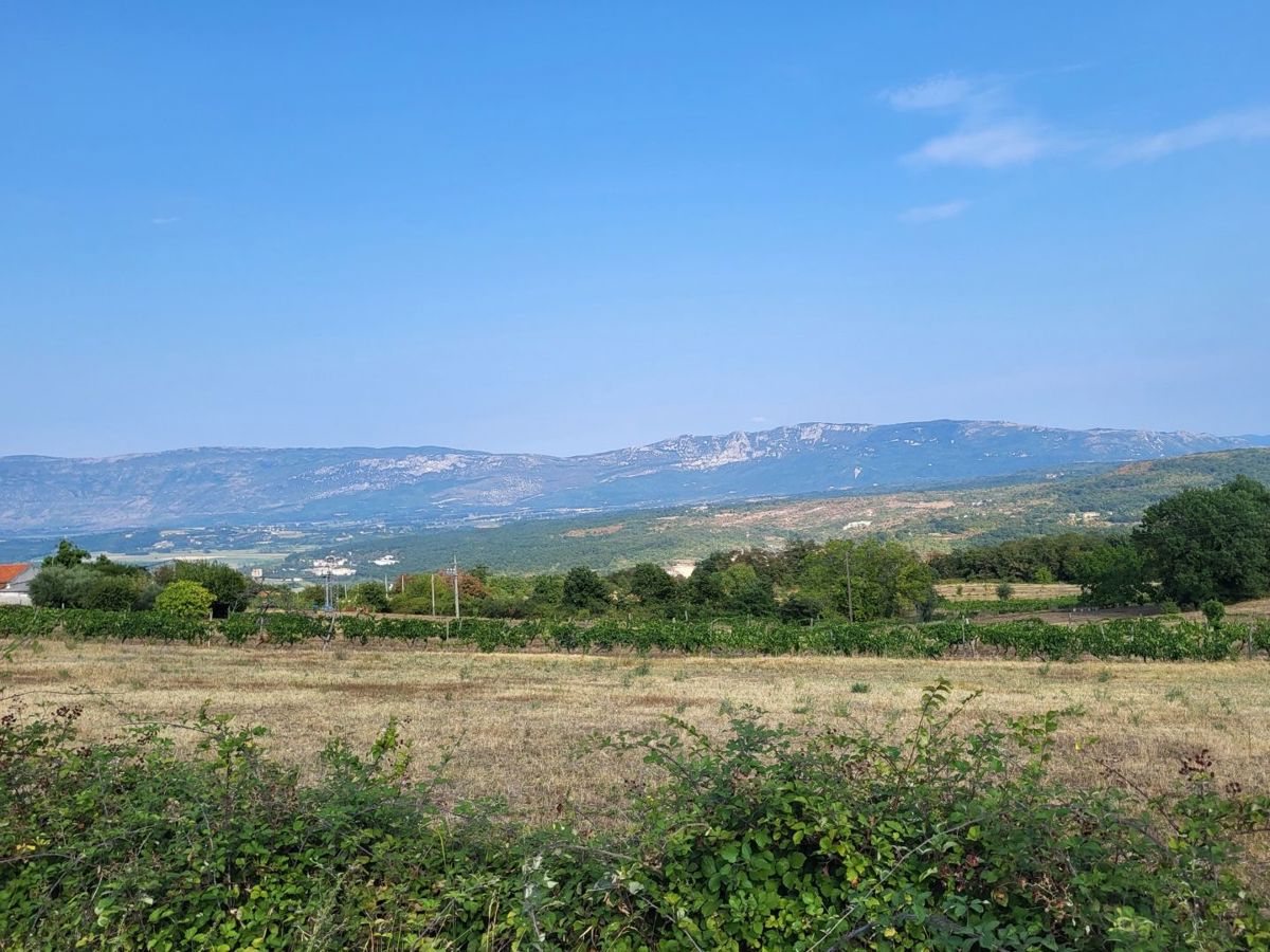 Zemljišče Pićan, 11.584m2
