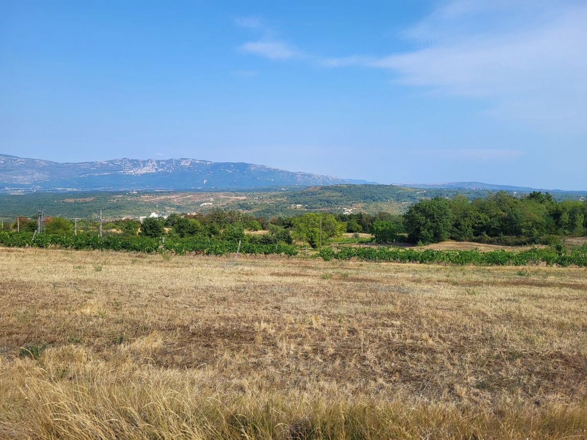 Zemljišče Pićan, 11.584m2
