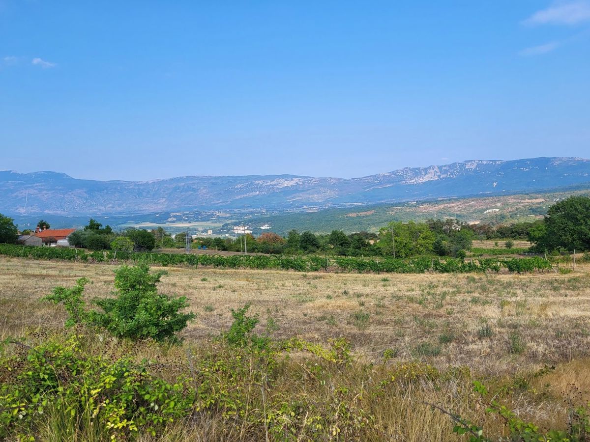 Zemljišče Pićan, 11.584m2