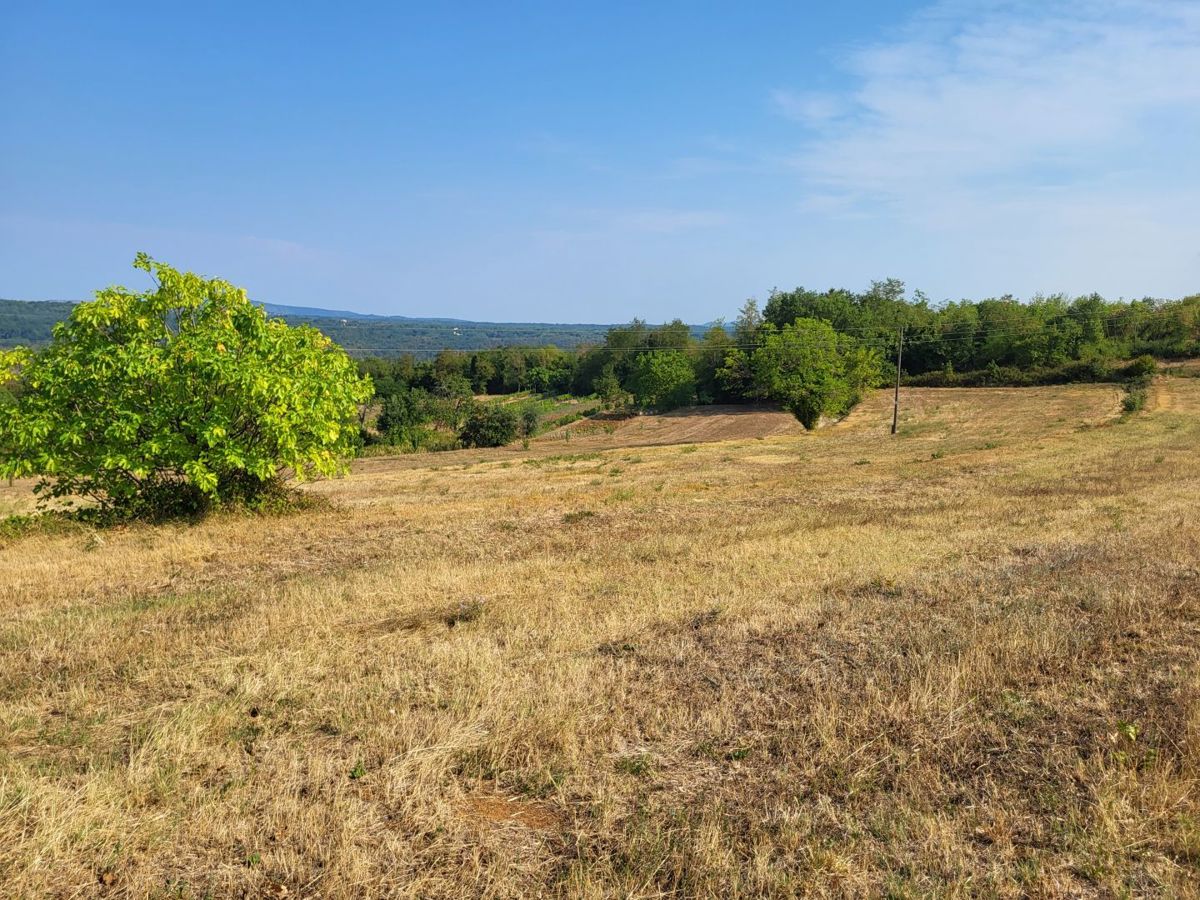 Zemljišče Pićan, 11.584m2