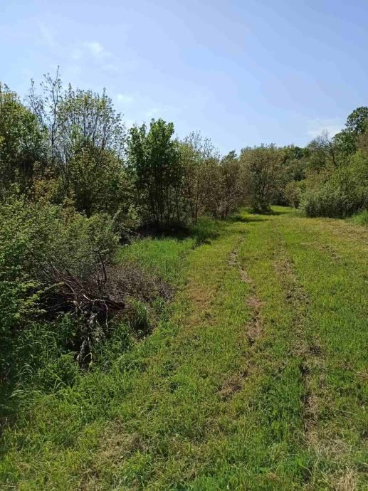Zazidljivo zemljišče 1195 m2, širše območje Marčane