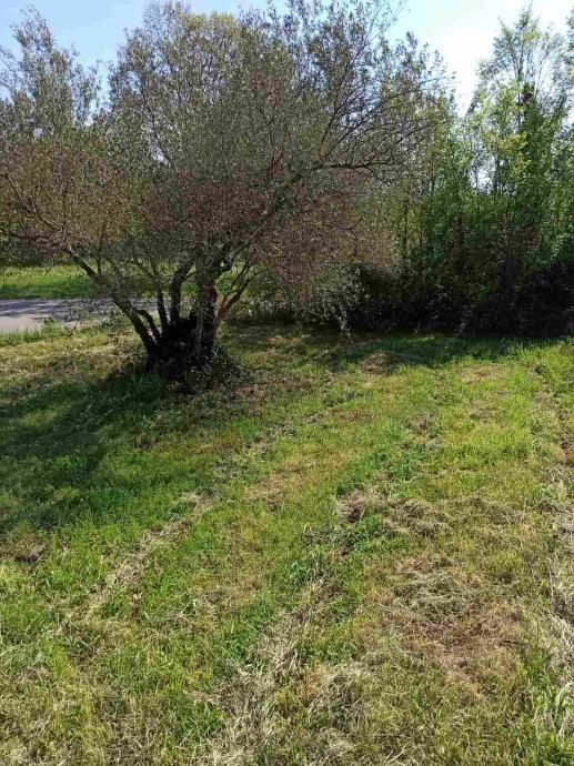 Zazidljivo zemljišče 1195 m2, širše območje Marčane