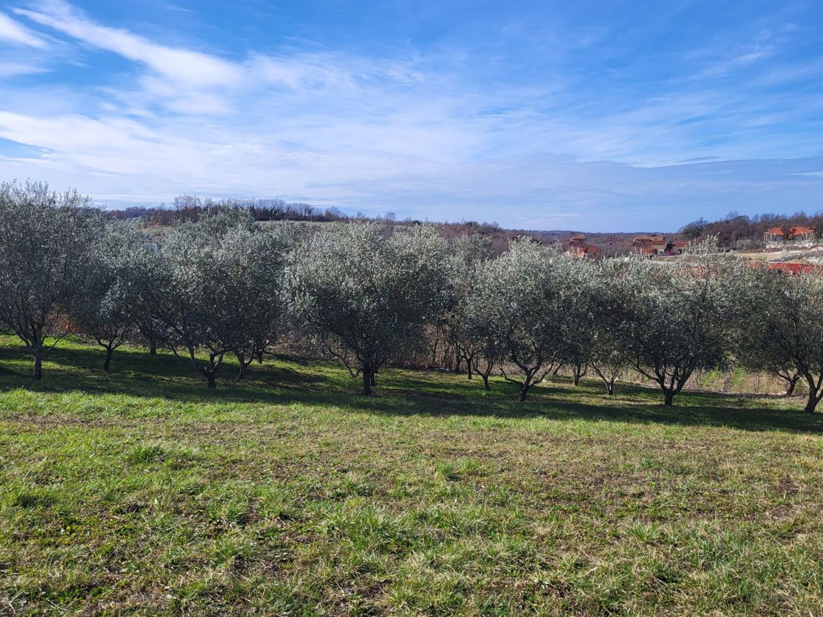 Zemljišče Vižinada, 635m2