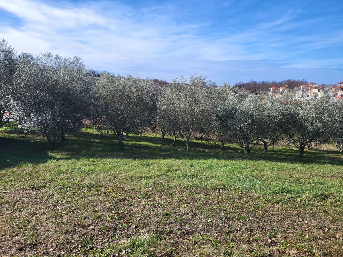 Zemljišče Vižinada, 635m2