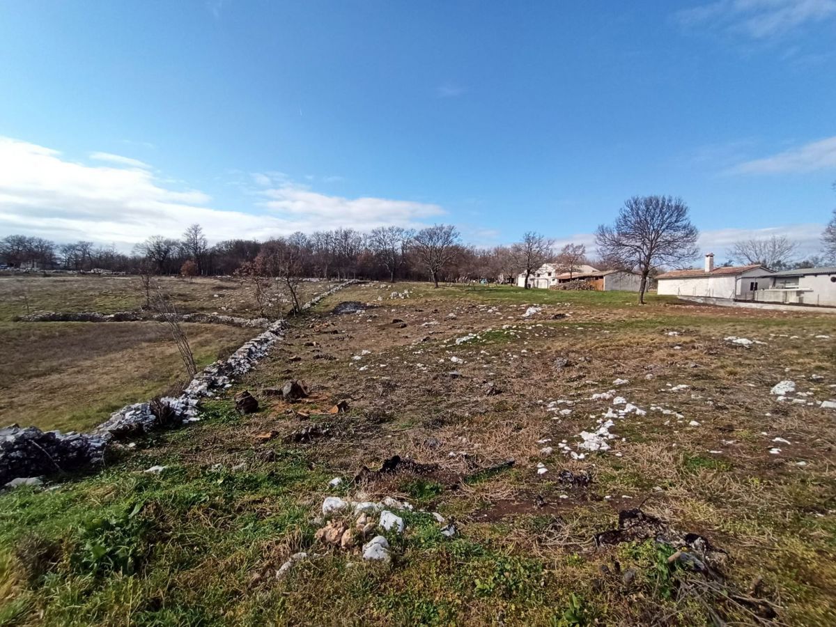 Prostorno gradbeno zemljišče 5245 m2, v okolici Barbana