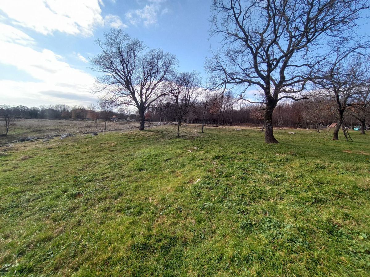 Prostorno gradbeno zemljišče 5245 m2, v okolici Barbana
