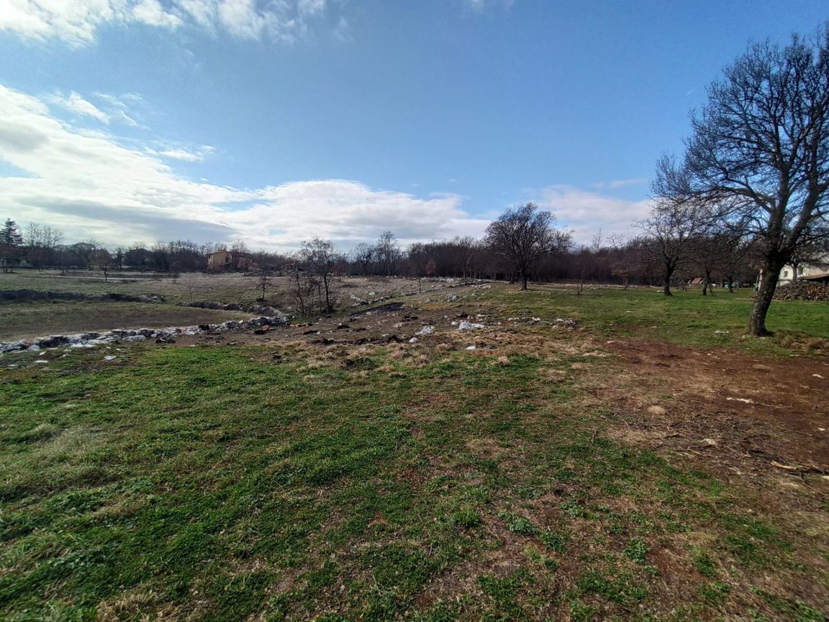 Prostorno gradbeno zemljišče 5245 m2, v okolici Barbana