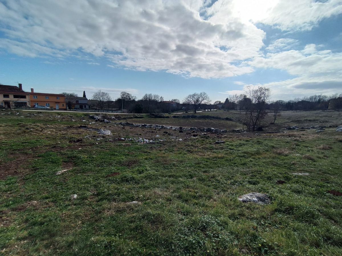 Prostorno gradbeno zemljišče 5245 m2, v okolici Barbana
