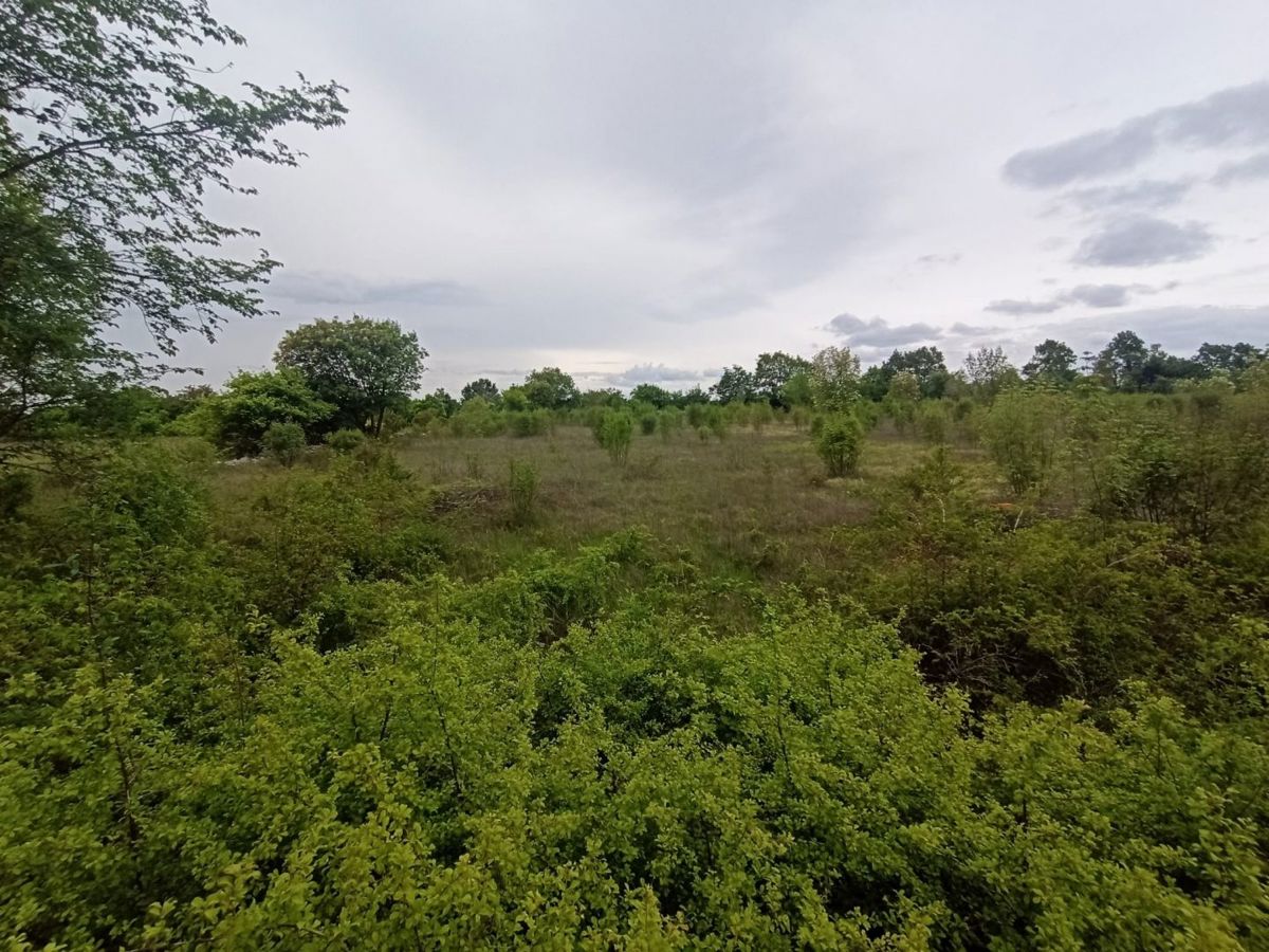 Kmetijsko zemljišče 14000 m2, okolica Kanfanarja