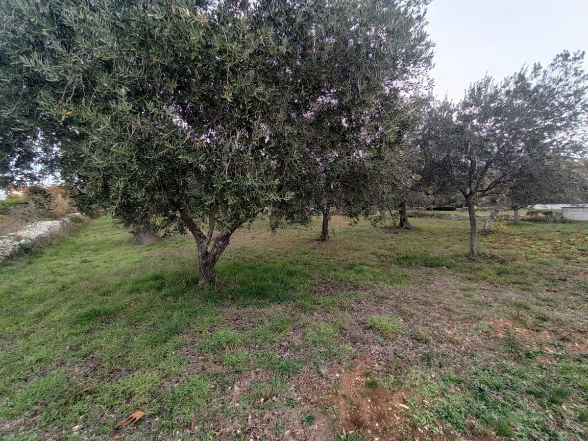 Zemljišče Peroj, Vodnjan, 2.002m2