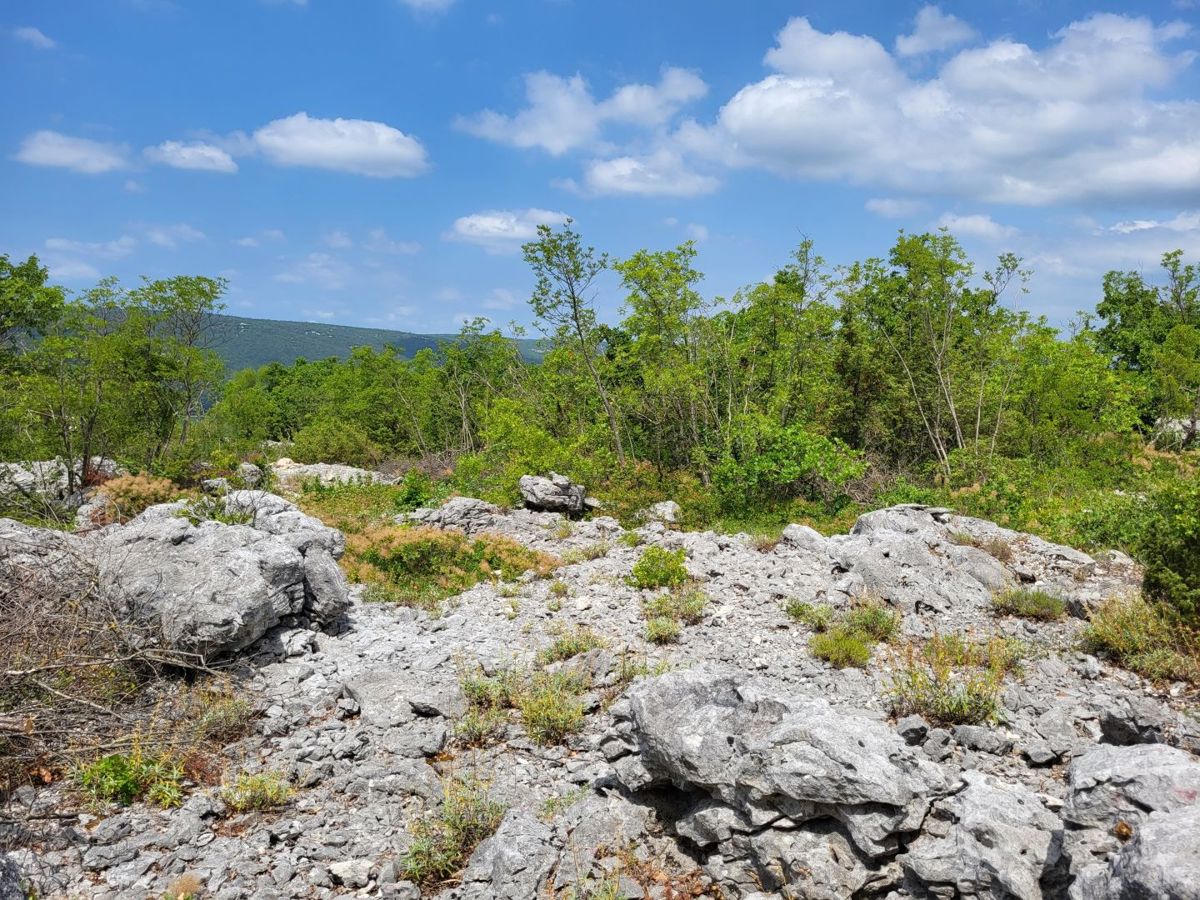 Zemljišče Labin, 5.581m2