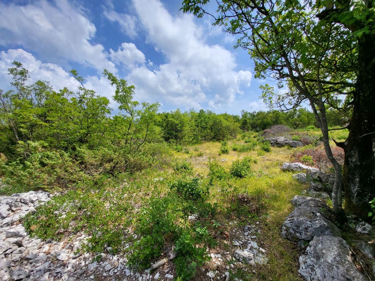 Zemljišče Labin, 5.581m2
