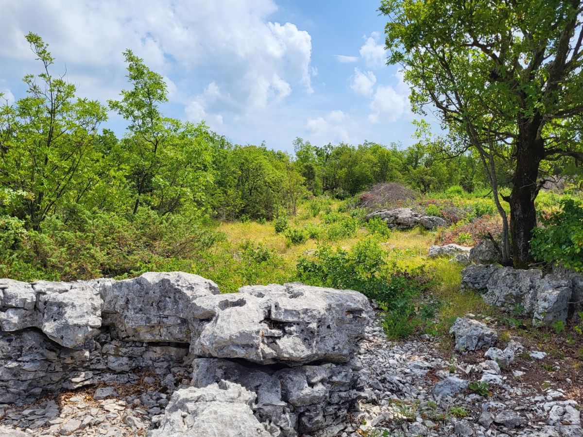 Zemljišče Labin, 5.581m2