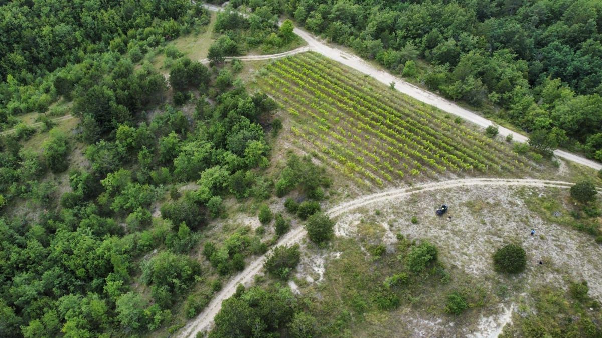 Zemljišče Gračišće, 50.860m2